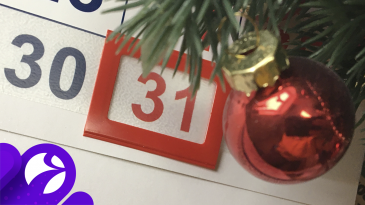 31      