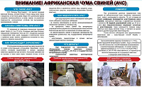 Памятка для населения: информация для населения об опасности возникновения и распространения африканской чумы свиней и высокопатогенного гриппа птиц 